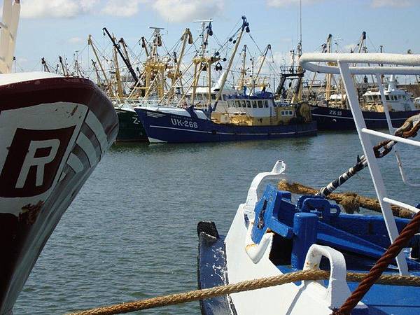 Die Fischkutter dominieren den Hafen