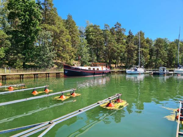 Im Hafen von Skansholmen, gepflegt und idyllisch. Die Vorsaison ist ausgesprochen ruhig