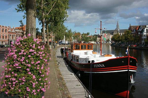 Mitten in Haarlem